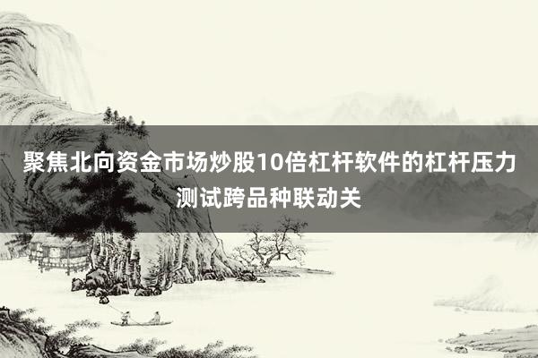 聚焦北向资金市场炒股10倍杠杆软件的杠杆压力测试跨品种联动关