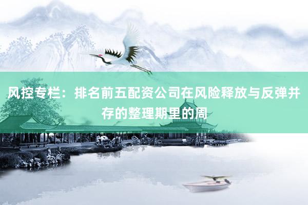 风控专栏：排名前五配资公司在风险释放与反弹并存的整理期里的周
