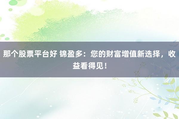 那个股票平台好 锦盈多：您的财富增值新选择，收益看得见！