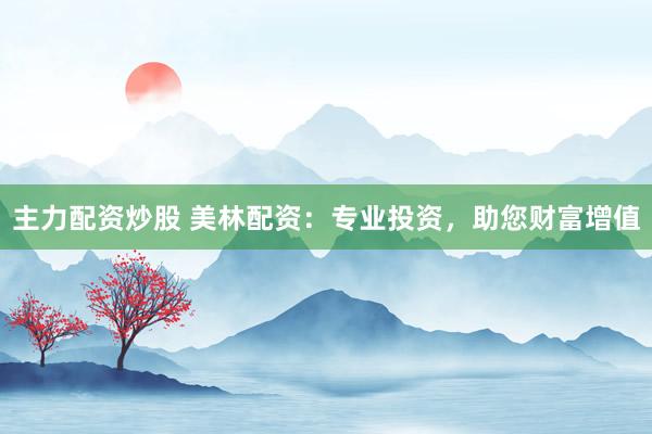 主力配资炒股 美林配资：专业投资，助您财富增值