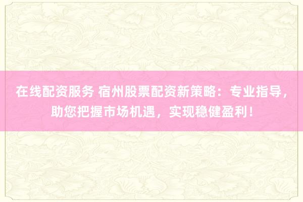 在线配资服务 宿州股票配资新策略：专业指导，助您把握市场机遇，实现稳健盈利！
