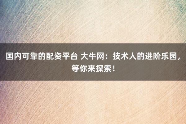 国内可靠的配资平台 大牛网：技术人的进阶乐园，等你来探索！
