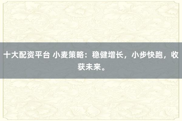 十大配资平台 小麦策略：稳健增长，小步快跑，收获未来。